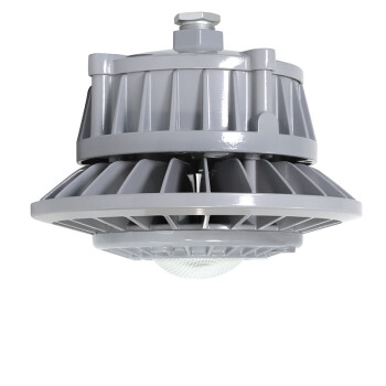 通明电器 TORMIN ZY8607P-L60-200 LED照明灯 60W IP66