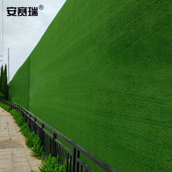 安赛瑞 仿真草坪 满铺人造草坪 25mm 50平 工程围挡塑料草皮 幼儿园楼顶工程人工假草皮26787