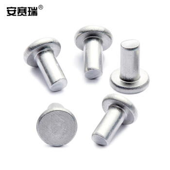 安赛瑞 不锈钢平头实心铆钉（500个装）手打敲击式平帽实芯铆钉 Φ4×8mm 430381