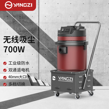 扬子（YANGZI）工业吸尘器工厂车间用粉尘粉末专用除尘净化电瓶吸尘机 C1-70/30