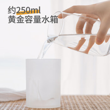 海纳斯（HANASS）加湿器 卧室家用办公室桌面迷你轻音车载USB插电便携夜灯加湿器伴侣 LYP829