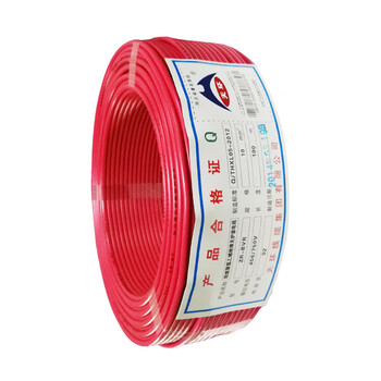 天环 ZR-BVR-450/750V-1*10 阻燃单芯多股铜芯软电线 100米 红色