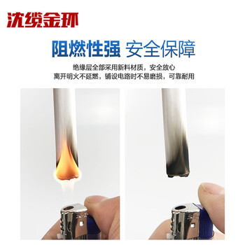 沈缆金环 ZR-BVVB-450/750V-2*1.0mm² 铜芯阻燃扁电线 100米/捆