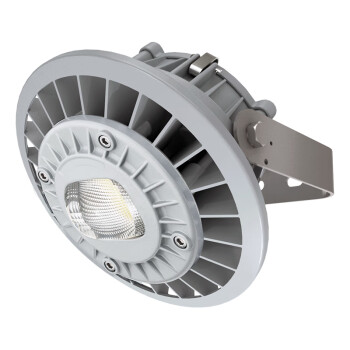 通明电器 TORMIN ZY8607S-L80-200 LED照明灯 80W IP66