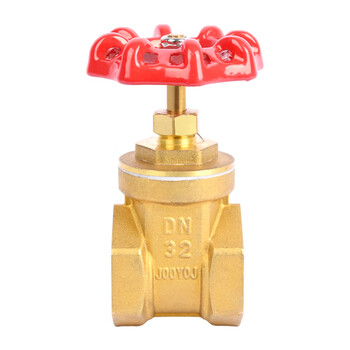 匡建仪表（CONJANT）铜截止阀 加厚黄铜 硬密封低进高出饱和蒸汽高温高压自来水阀门单向截门 DN32 
