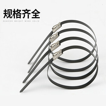 飞尔（FLYER）不锈钢扎带 金属钢带 束线带 电缆扎丝 黑色 100根/包【4.6×150MM】