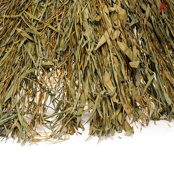 营盘大竹扫帚 1750*700mm YP901