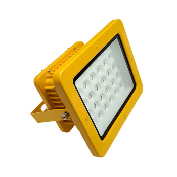 依客思（EKSFB）LED防爆投光灯 EKS97-N 白光 30W（壁式/吸顶式/吊杆式）