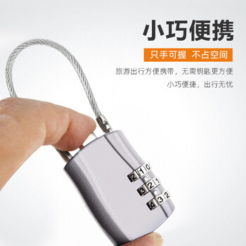 飞尔（FLYER）便携式钢丝绳密码锁 迷你钢缆挂锁 健身房柜门抽屉旅行箱包背包锁 安全防盗锁【银色】