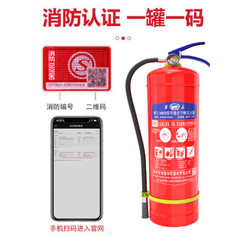 淮海 干粉灭火器4公斤 手提式干粉4KG 消防器材国家消防认证 家商用干粉灭火器碳钢MFZ/ABC4 *1具HHX6432 
