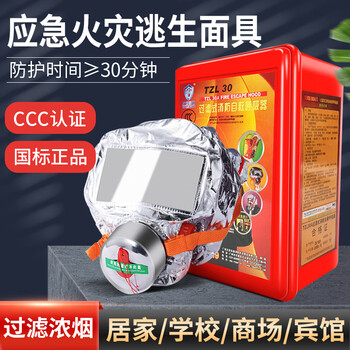友安 火灾应急逃生防火面罩TZL30微型消防站 过滤浓烟雾/CO/烟尘/透气【1盒】定做