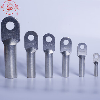 凤凰A级 镀锡DT铜鼻子铜接头电缆堵油DT-10 接线端子 铜线耳 1只