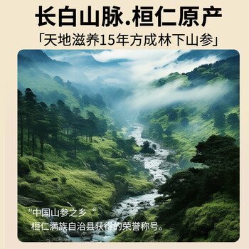 北京同仁堂【年货礼品】人参林下山参礼盒1.51-2.5g/B 整枝15年以上野山参 泡酒 滋补品送父母长辈送礼