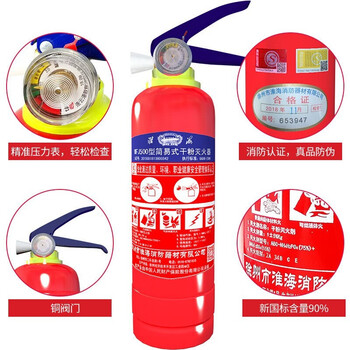 淮海 干粉灭火器 1kg 国家消防认证小轿车内用灭火器 车载家用应急救援包灭火器固定套装 干粉1公斤+固定带