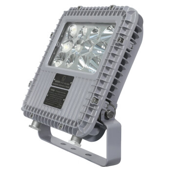 通明电器 TORMIN BC9101A-L40-25  LED防爆泛光灯 厂房仓库车间加油站照明灯具 照明40W+应急25W 可定制