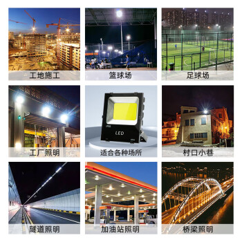 龙代（longdai）LED投光灯户外防水泛光灯 高亮COB款 220V 200W 白光