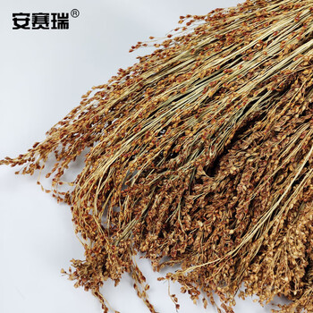 安赛瑞 高粱扫把 物业环卫扫帚笤帚清洁工具 (5把装) 扫雪工具 手工高粱苗笤帚24191