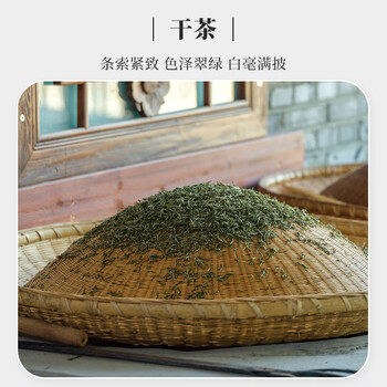 文新绿茶高山信阳毛尖一级250g2024年雨前礼盒装新茶上市
