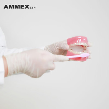 爱马斯（AMMEX）TLFVMD 一次性乳胶检查手套 无粉家务美容牙科 100只/盒 L码 定做 1盒