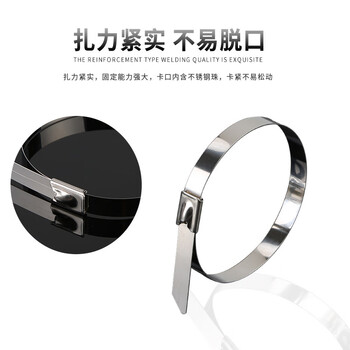 飞尔（FLYER） 304不锈钢自锁扎带500×7.9mm 100根 耐腐蚀耐高低温【FL003Z】