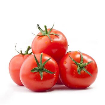 京地达山东普罗旺斯西红柿自然熟沙瓢番茄新鲜水果蔬菜健康轻食严选5