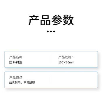 联嘉 塑料封条 物流封签 防拆扎带 100×80mm1000条