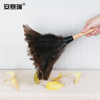 安赛瑞 鸵鸟毛掸子 除尘掸子 清洁掸子 车用扫灰清洁工具 小号 710683