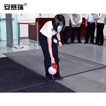 安赛瑞 消毒地垫 商用鞋底消毒地垫吸尘吸水脚垫 50×80cm 沾酒精消毒水吸水垫 公司商场防尘地垫 灰色26951