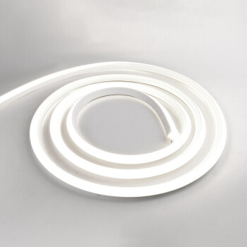 贝工 220V霓虹灯带 户外防雨淋工程亮化装饰用LED柔性灯带 6W/米 白光 100米