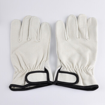 安美尚（ams）淡黄色猪头层皮手套（带魔术贴）定做 2双 XL码