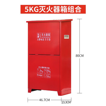 蓝炎 二氧化碳灭火器 机房精密仪器气体手提式5公斤干冰灭火器2具装箱子组合 消防器材 MT/5