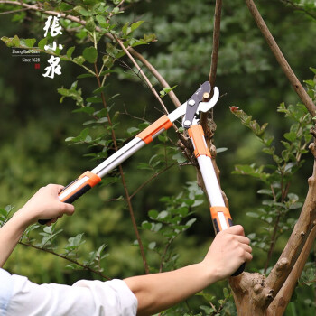 张小泉 秋韵系列粗枝剪495mm 园艺剪刀 果园剪 树枝花枝剪S10800300