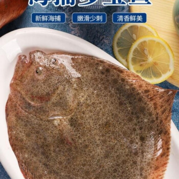 新鲜速冻多宝鱼比目鱼海鲜昌盛隆每条5到7两5条