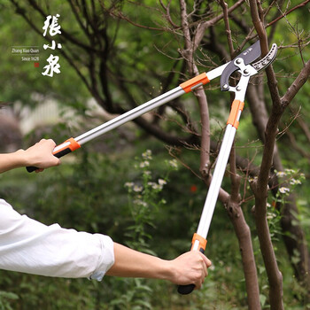 张小泉 秋韵系列粗枝剪755mm 园艺剪刀 树枝花枝修剪S10800200
