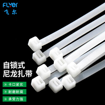 飞尔（FLYER）自锁式尼龙扎带 塑料捆绑线 电线扎条固定捆扎带【国标 300×3.6mm 250条/包】