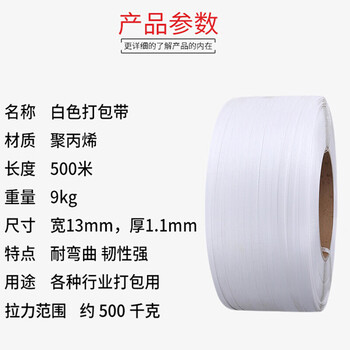 飞尔（FLYER）打包带 pp塑料打包带 手工半自动打包机捆扎带 宽13mm 厚1.1mm 9kg/卷 白色【FLJD091】