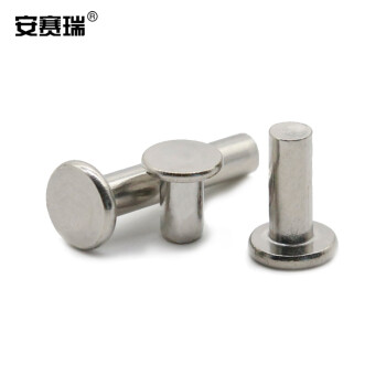 安赛瑞 不锈钢平头实心铆钉（500个装）手打敲击式平帽实芯铆钉 Φ4×8mm 430381
