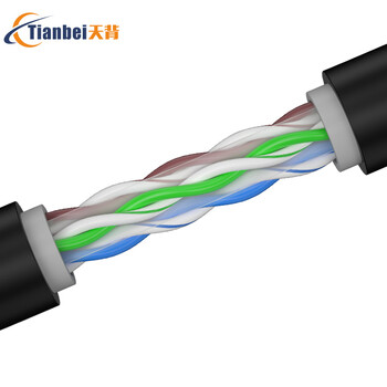 天背 cat6室外千兆六类网线防水防冻防晒300米一卷 8芯监控网络线双层保护 TB-W103J