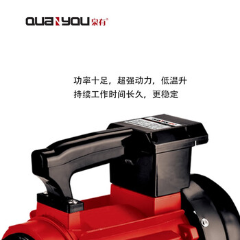 泉有（quanyou）混凝土振动器（插入式） QY-3506T（220V插入式）混凝土水泥板振动器水泥振动器3.0kw