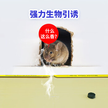 达豪 捕鼠神器一老鼠贴窝强力粘鼠板端大号灭鼠家用5张装