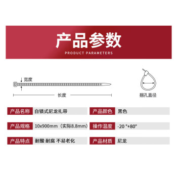 飞尔（FLYER）尼龙扎带 塑料绑带 捆扎带 束线扎线带 黑色 国标 10×900mm 100条/包