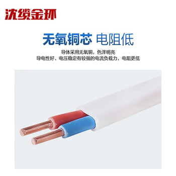 沈缆金环 ZR-BVVB-450/750V-2*1.0mm² 铜芯阻燃扁电线 100米/捆