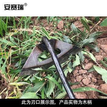 安赛瑞 全钢空心锄头 钢制实木长柄开荒翻地农用园林 除草种菜松土 1.6米椿木 27111