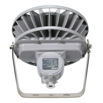 通明电器 TORMIN ZY8605S-L180 LED照明灯 厂房仓库车间码头场馆工业投光灯 180W 可定制