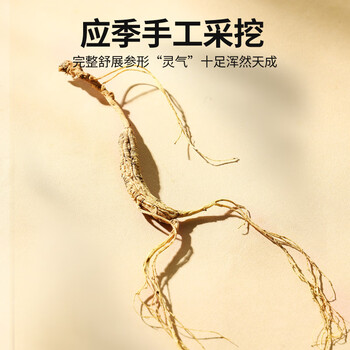 北京同仁堂【年货礼品】人参林下山参礼盒1.51-2.5g/B 整枝15年以上野山参 泡酒 滋补品送父母长辈送礼