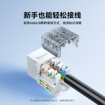 山泽（SAMZHE）六类网络模块 CAT6千兆网线插座面板模块 RJ45水晶头母座电脑网线镀金连接头 工程版 WAN-06
