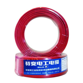 特变电工（TBEA）电线电缆 ZR/ZC-BV 2.5平方红色 100米 国标铜芯单芯单股硬线阻燃电线 家装照明插座空调线