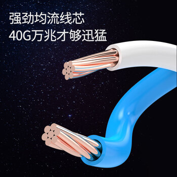 万级（WANJEED）八类网线 1米CAT8.2双屏蔽40G万兆机房网咖5G网络线成品跳线路由器光纤线连接WJ-126121