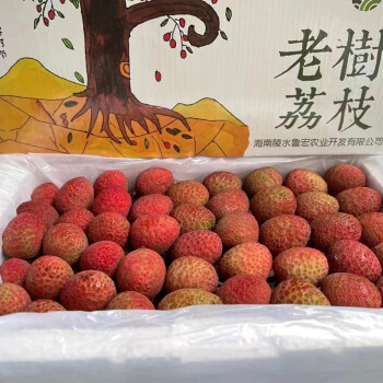 老树桂花香荔枝桂花蜜荔枝纯甜多汁新鲜水果发顺丰5斤挂花香荔枝礼盒
