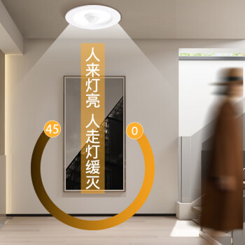 东君 LED人体感应筒灯 2.5寸 开孔75-80mm DJ-05G 3W 白光